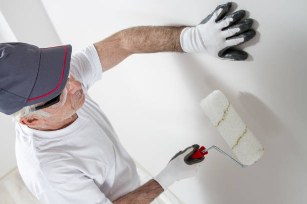 Best Mold Prevention Services  in Universal City, TX