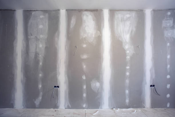 Best Comprehensive Air Testing for Mold Contaminants  in Universal City, TX